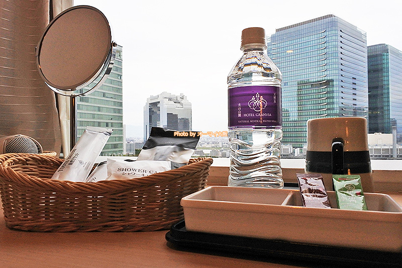 客室から大阪の景色を眺められる「デラックスシングル」です。